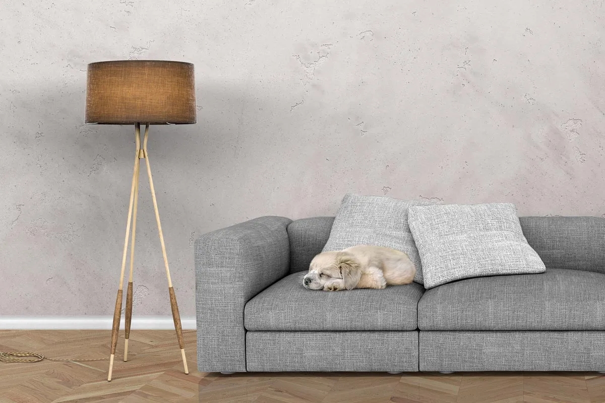 Farba betonowa czy beton dekoracyjny - co wybrać dla swojego wnętrza?